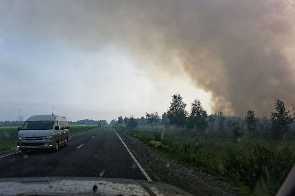 Pożar przy drodze